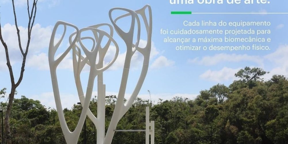 My Tree - Academia ao ar livre